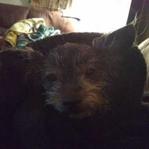 Meet your Posher, Sally